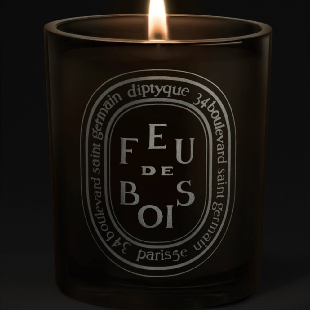 NWT Diptyque Wood Fire Medium Candle In Original Packaging